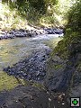 thn_NZ leden-unor 2006 233.jpg